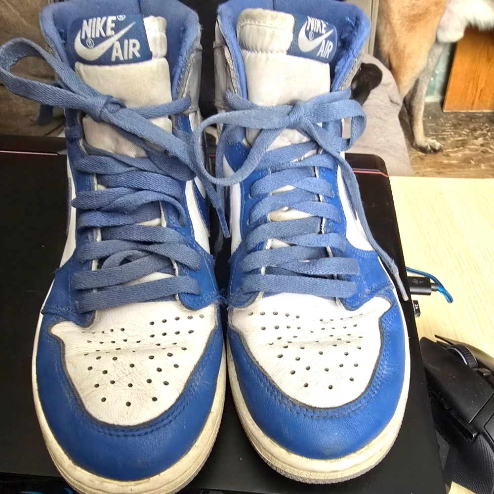 Nike Air Jordan Blue and White Sneakers